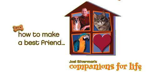 Companions for Life
